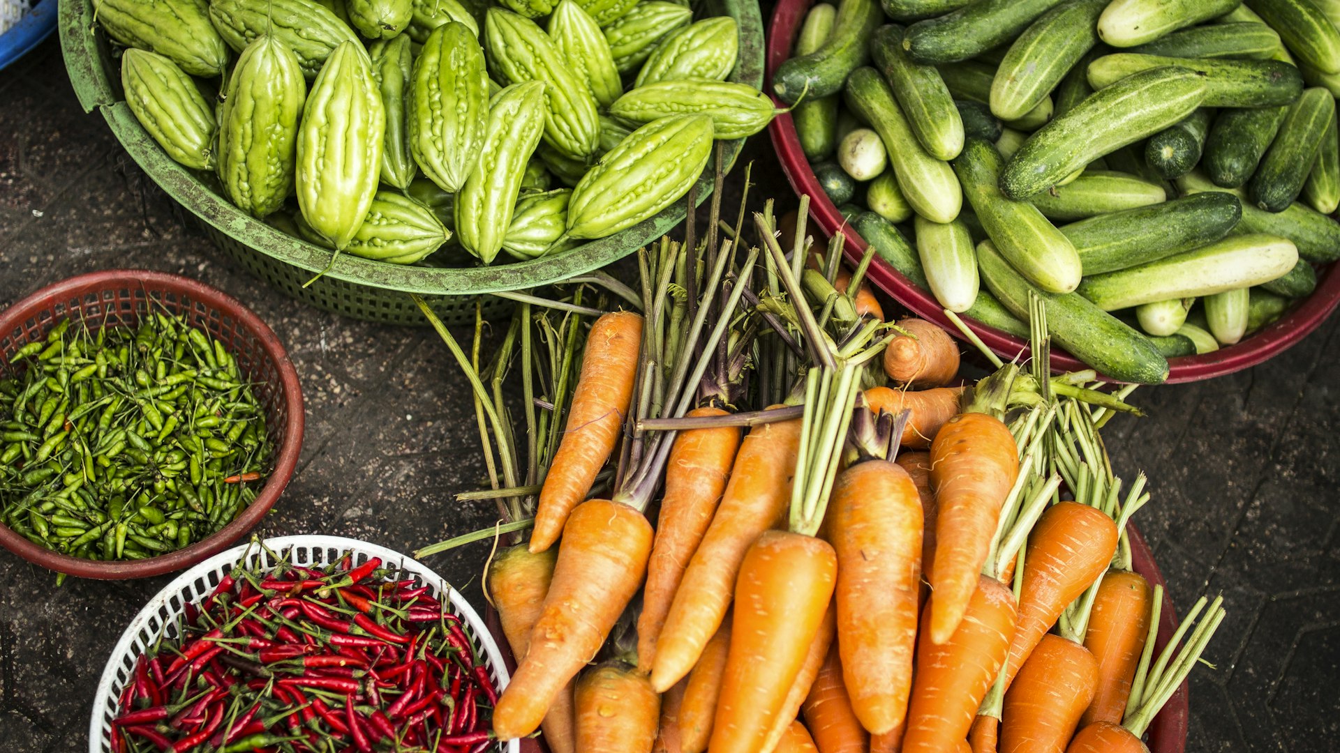 Roses Srinagar Biofuel headquarters